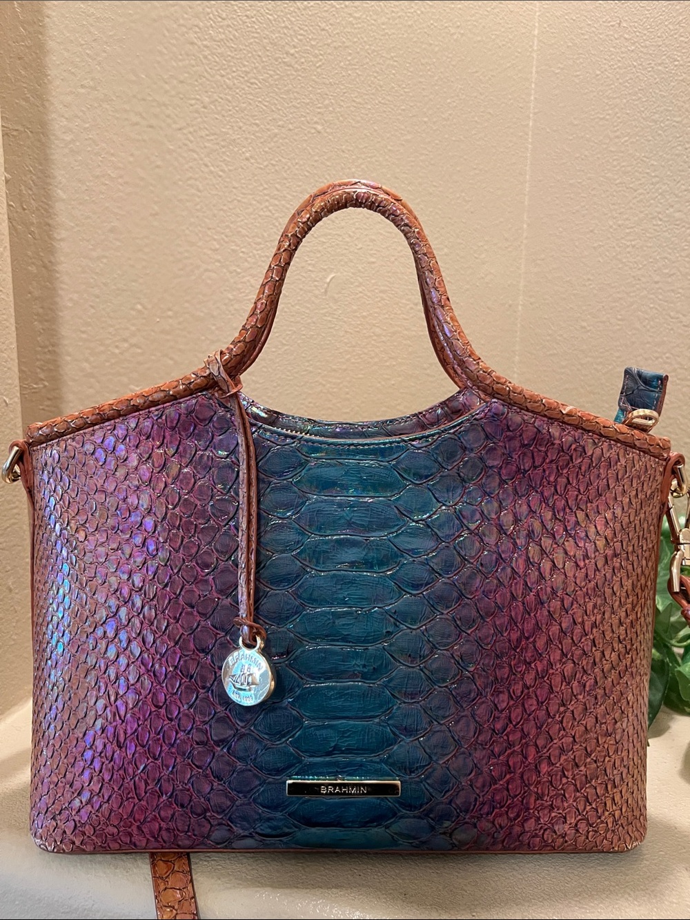 Brahmin Small Elaine Multi Stellaris crossbody